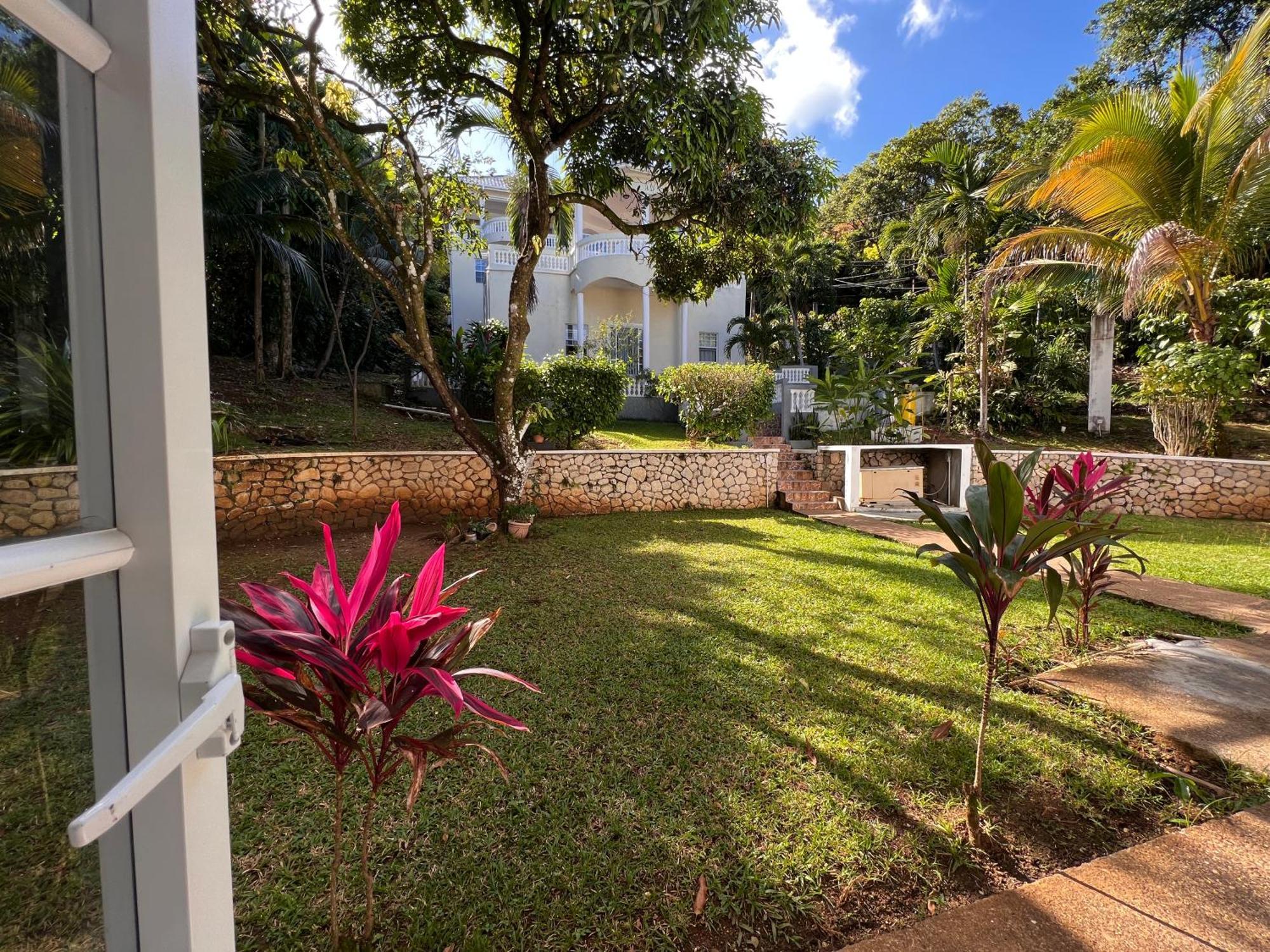 All Nations Guest House Port Antonio Rum bild